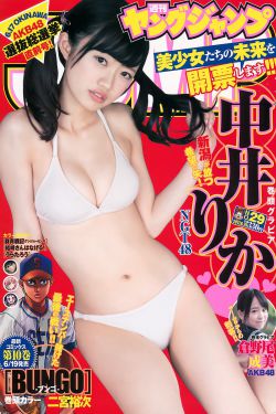 最美情侣2019全集免费观看